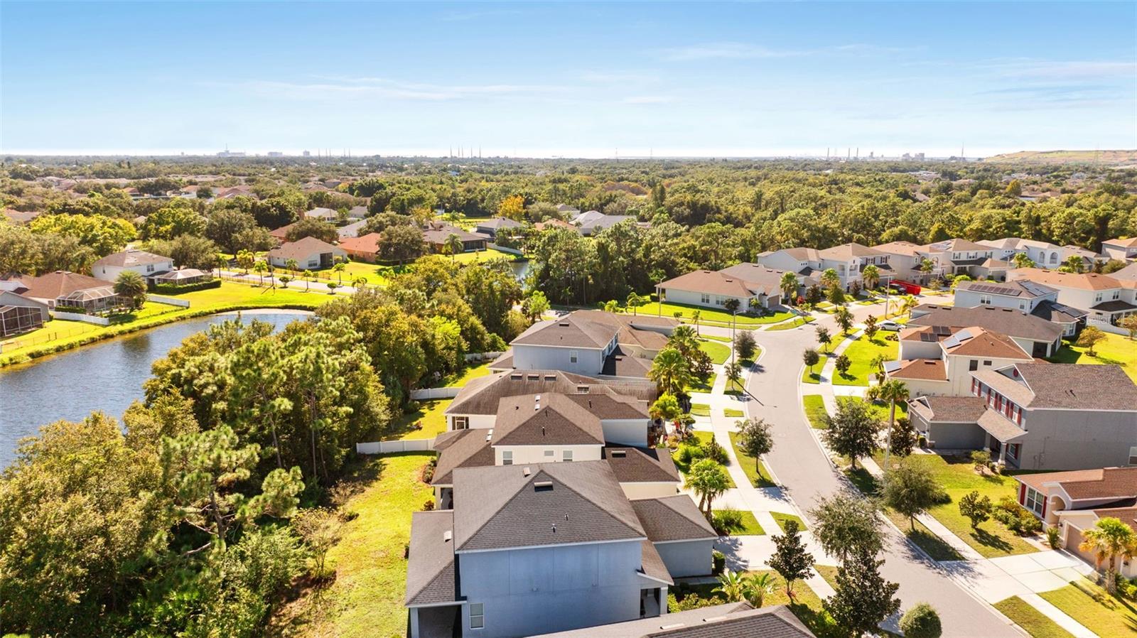 Single Family Residence at 9009 SPRUCE CREEK CIR, RIVERVIEW, photo 46 of 59