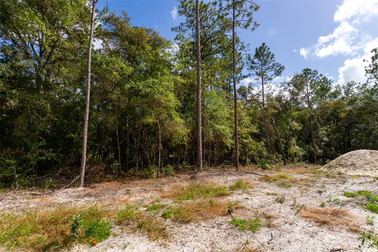 Street view for SEC 12 TWP 17 RGE 20 PLAT BOOK O PAGE 225 MARION OAKS UNIT 12 BLK 1426 LOT 7 - Lot 7 SW 89TH CIR, OCALA