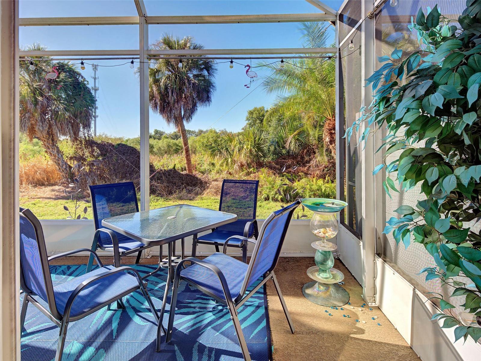 The Great Outdoors. - 668 BACK NINE DR, VENICE