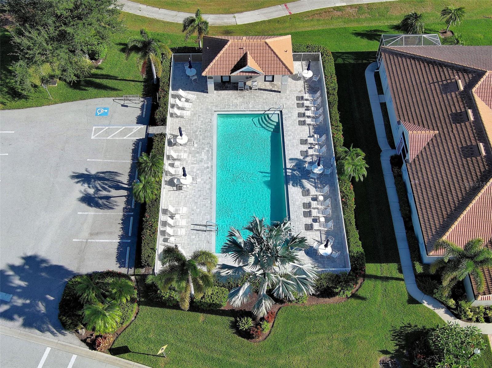 Private "Links" pool. Walk right across the street to enjoy this peaceful amenity. - 668 BACK NINE DR, VENICE