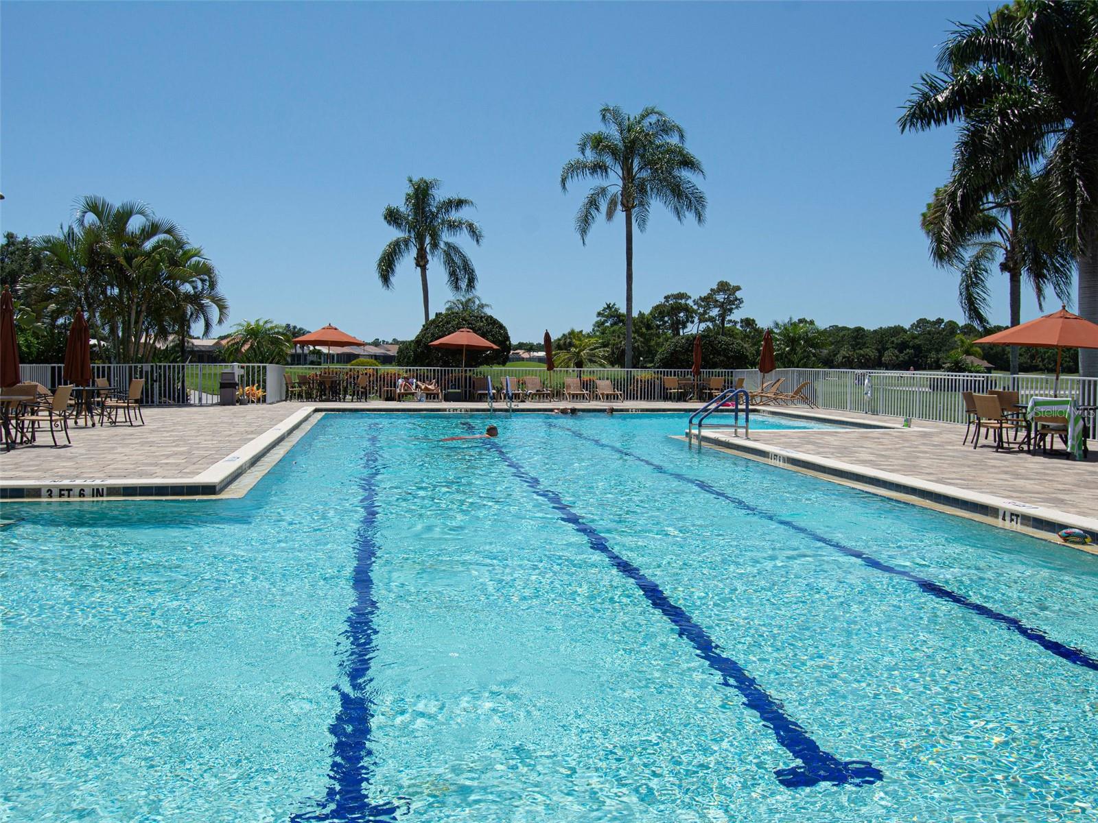 Junior Olympic Size Pool. - 668 BACK NINE DR, VENICE