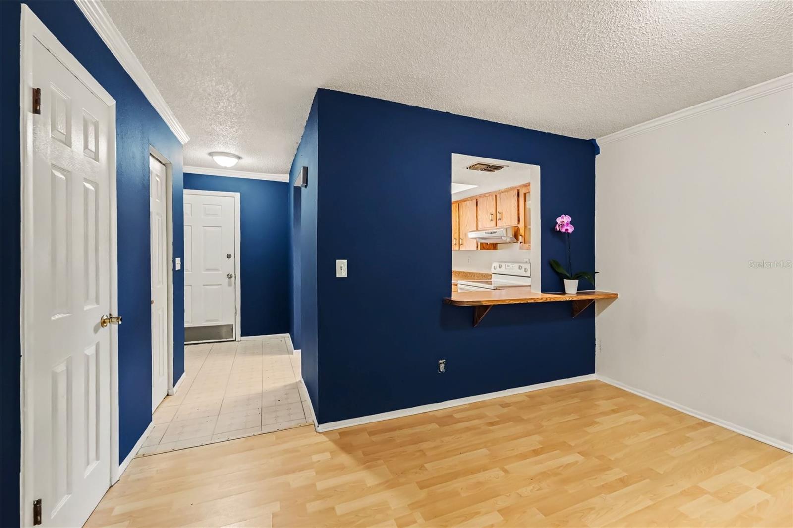 Duplex at 1443 & 1445 GILES AVE, SPRING HILL, photo 3 of 22