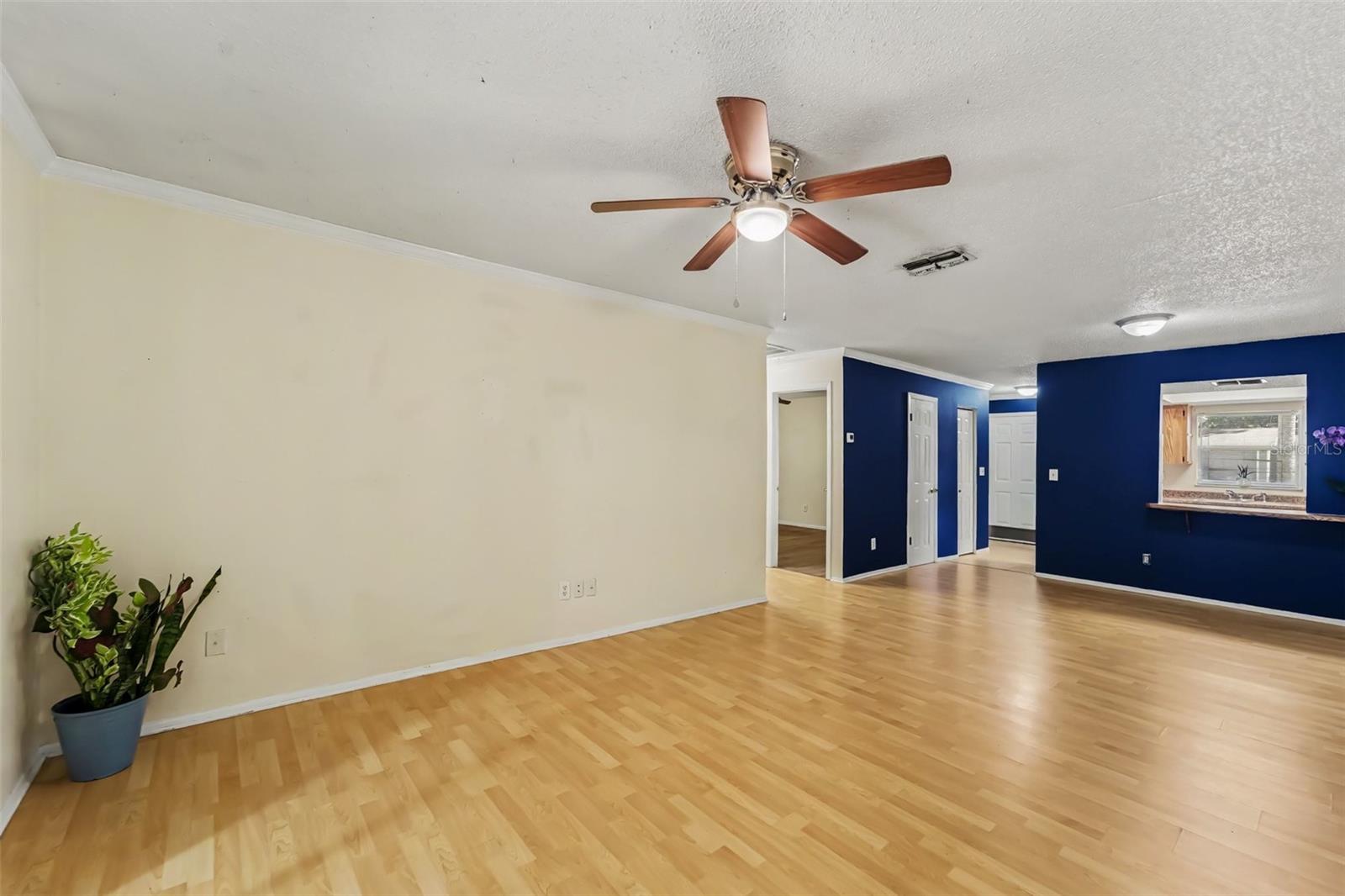 Duplex at 1443 & 1445 GILES AVE, SPRING HILL, photo 4 of 22