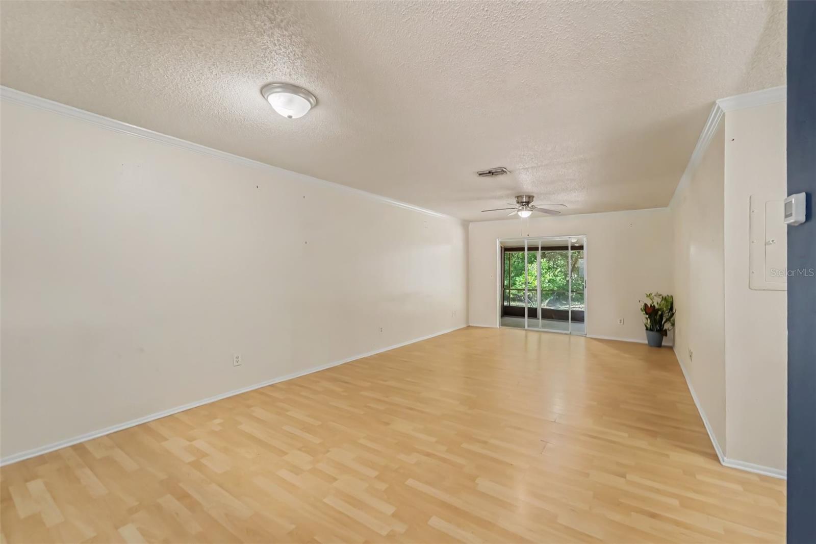 Duplex at 1443 & 1445 GILES AVE, SPRING HILL, photo 5 of 22