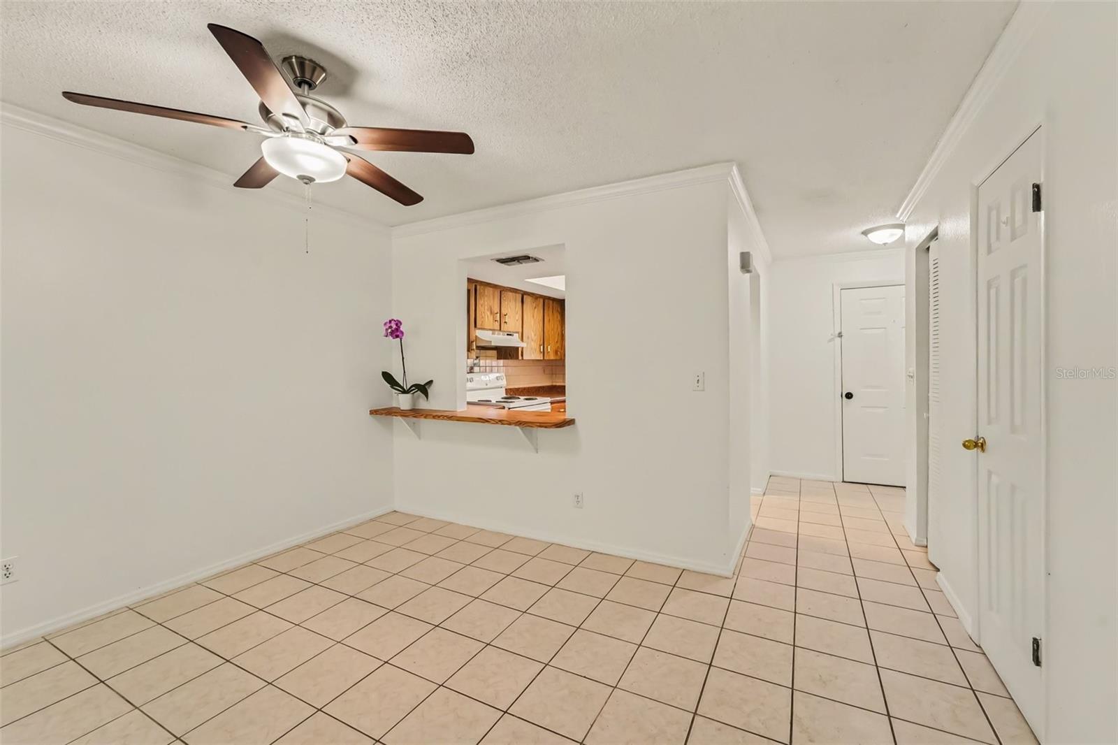 Duplex at 1443 & 1445 GILES AVE, SPRING HILL, photo 11 of 22