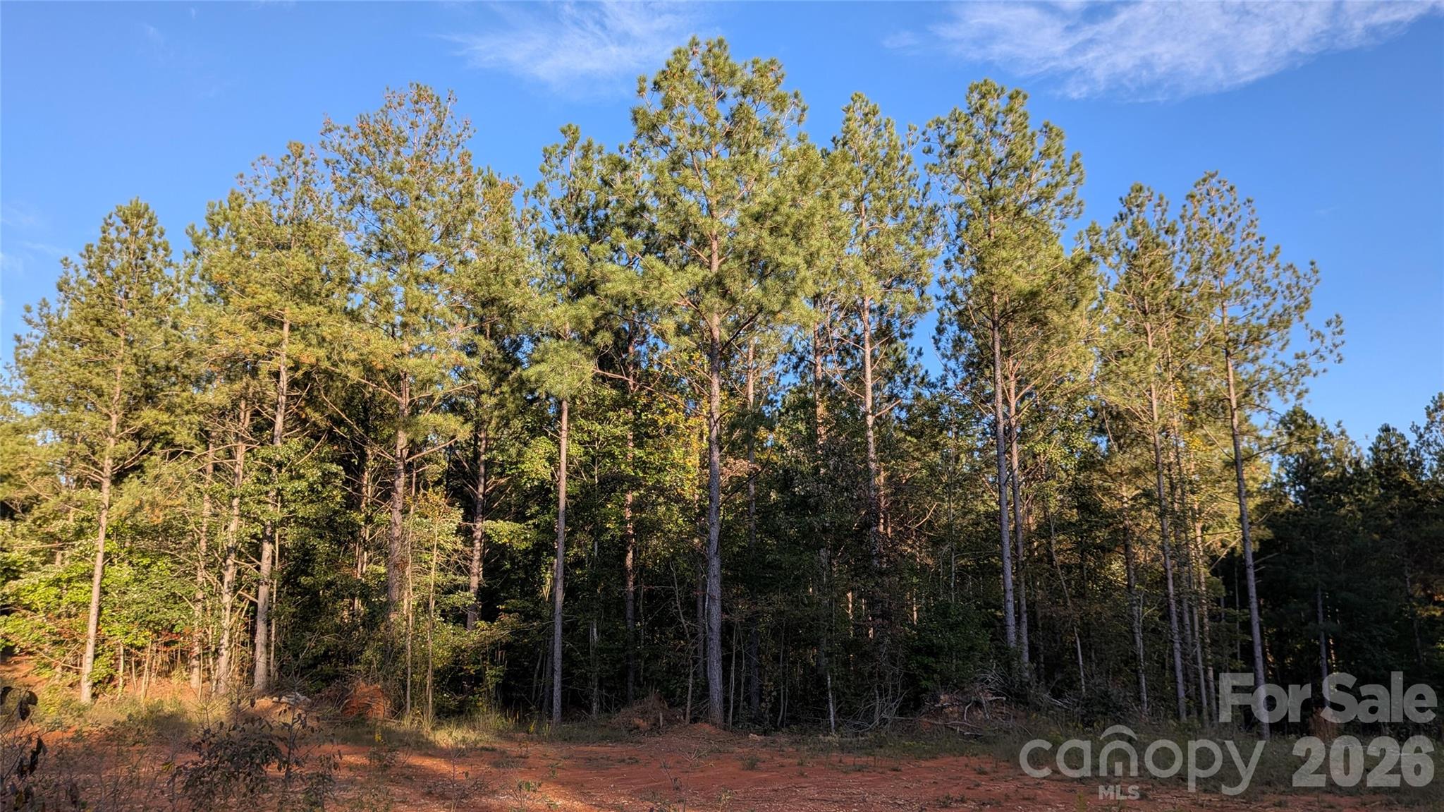 Lot at 2939 NC Hwy 134 Highway, Troy, photo 2 of 8