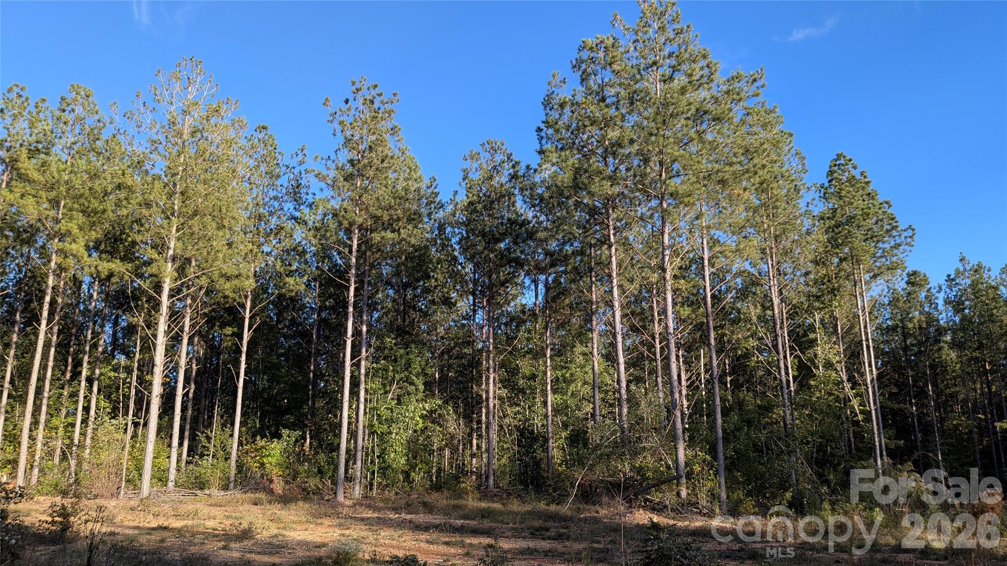 Lot at 2939 NC Hwy 134 Highway, Troy, photo 3 of 8