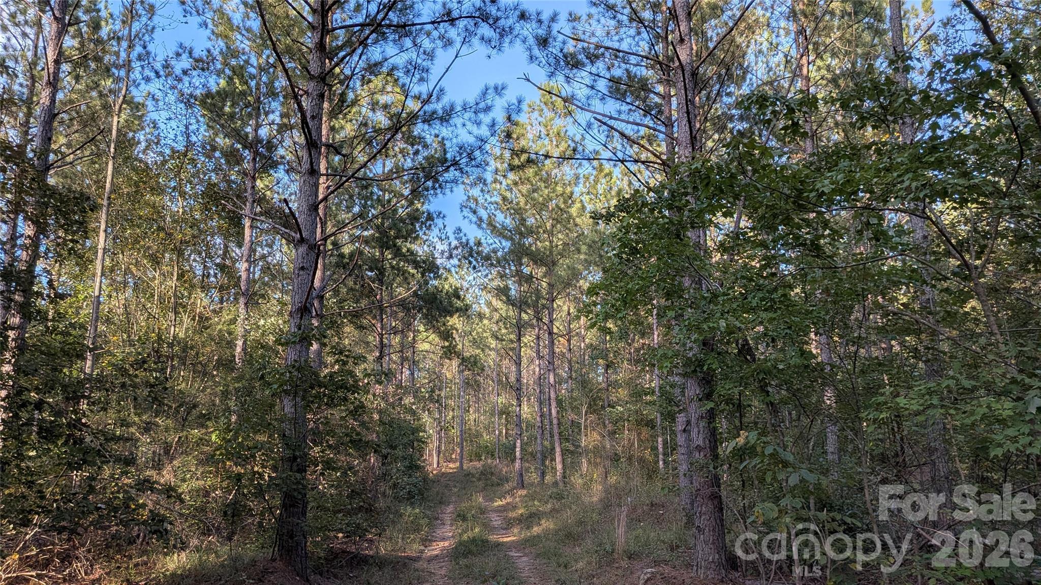 Lot at 2939 NC Hwy 134 Highway, Troy, photo 4 of 8
