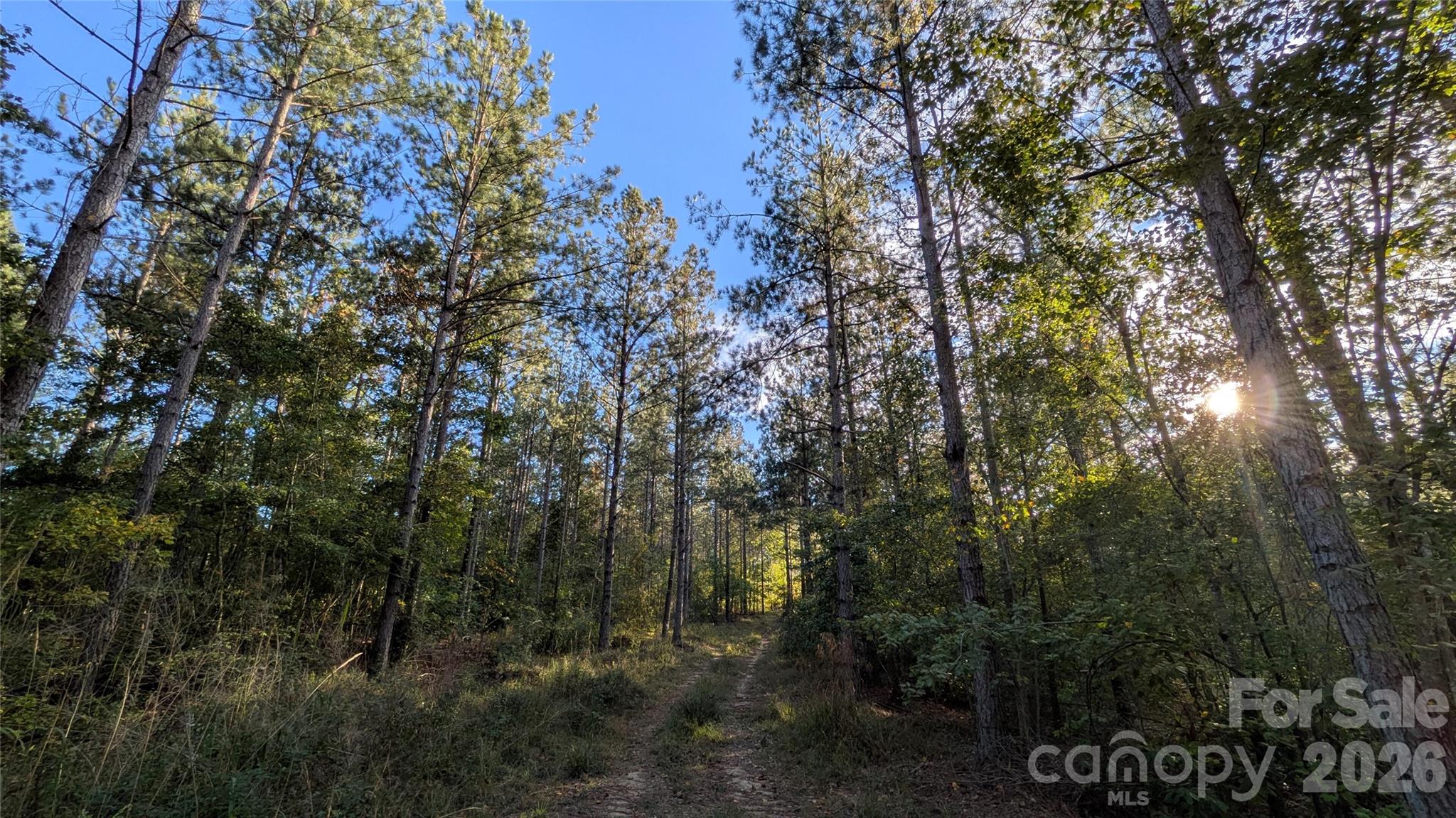 Lot at 2939 NC Hwy 134 Highway, Troy, photo 5 of 8