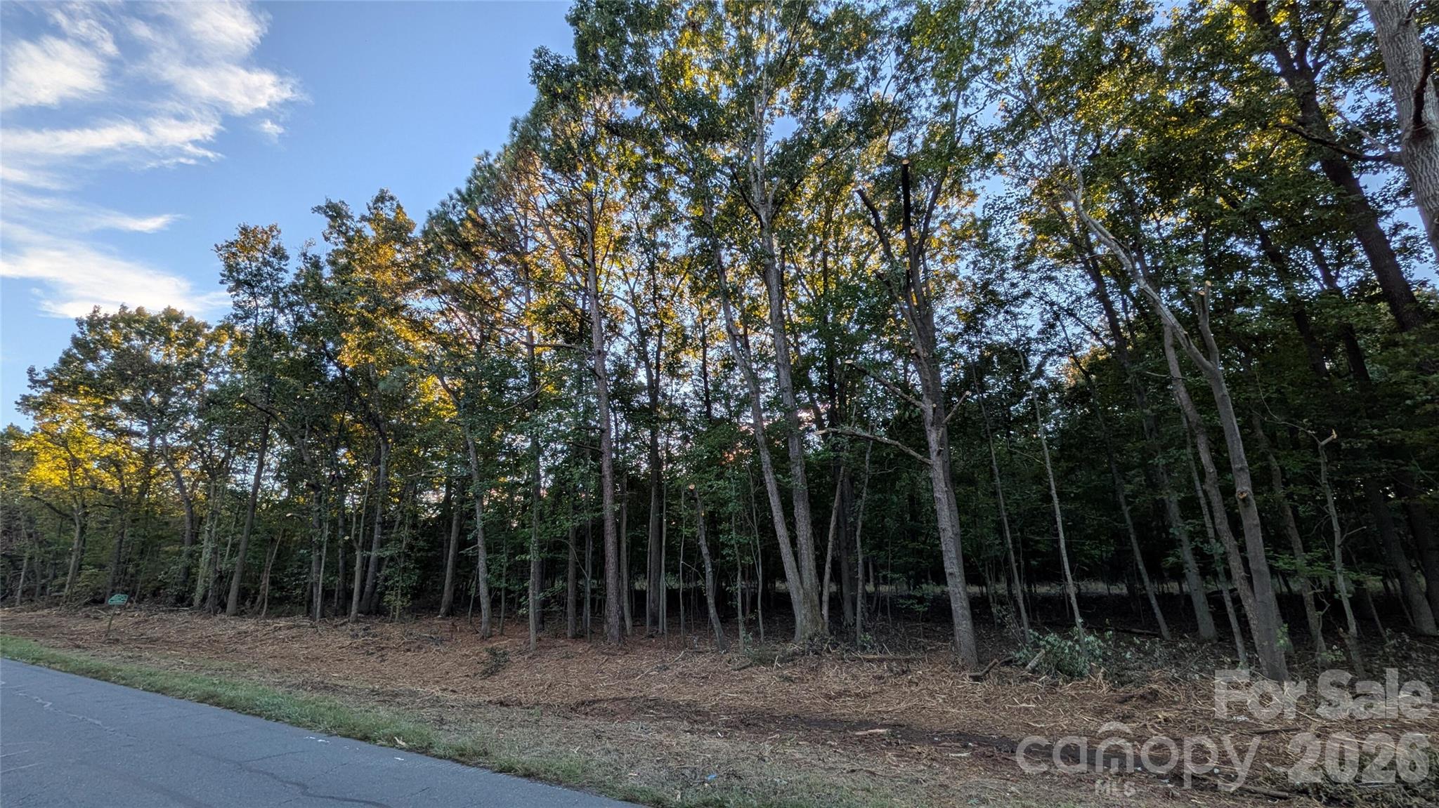 Lot at 2939 NC Hwy 134 Highway, Troy, photo 6 of 8
