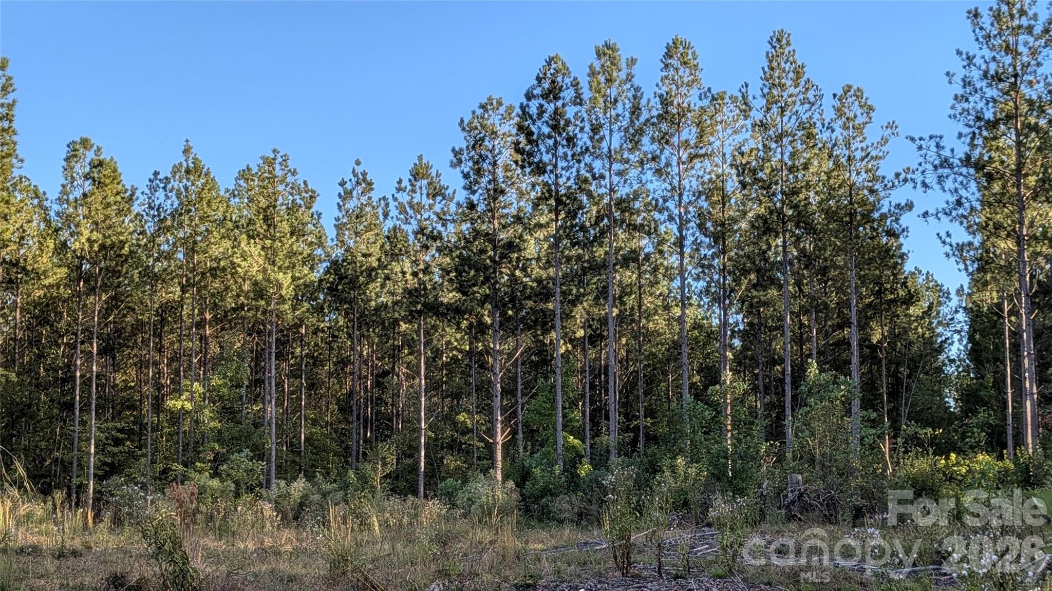 Lot at 2939 NC Hwy 134 Highway, Troy, photo 7 of 8