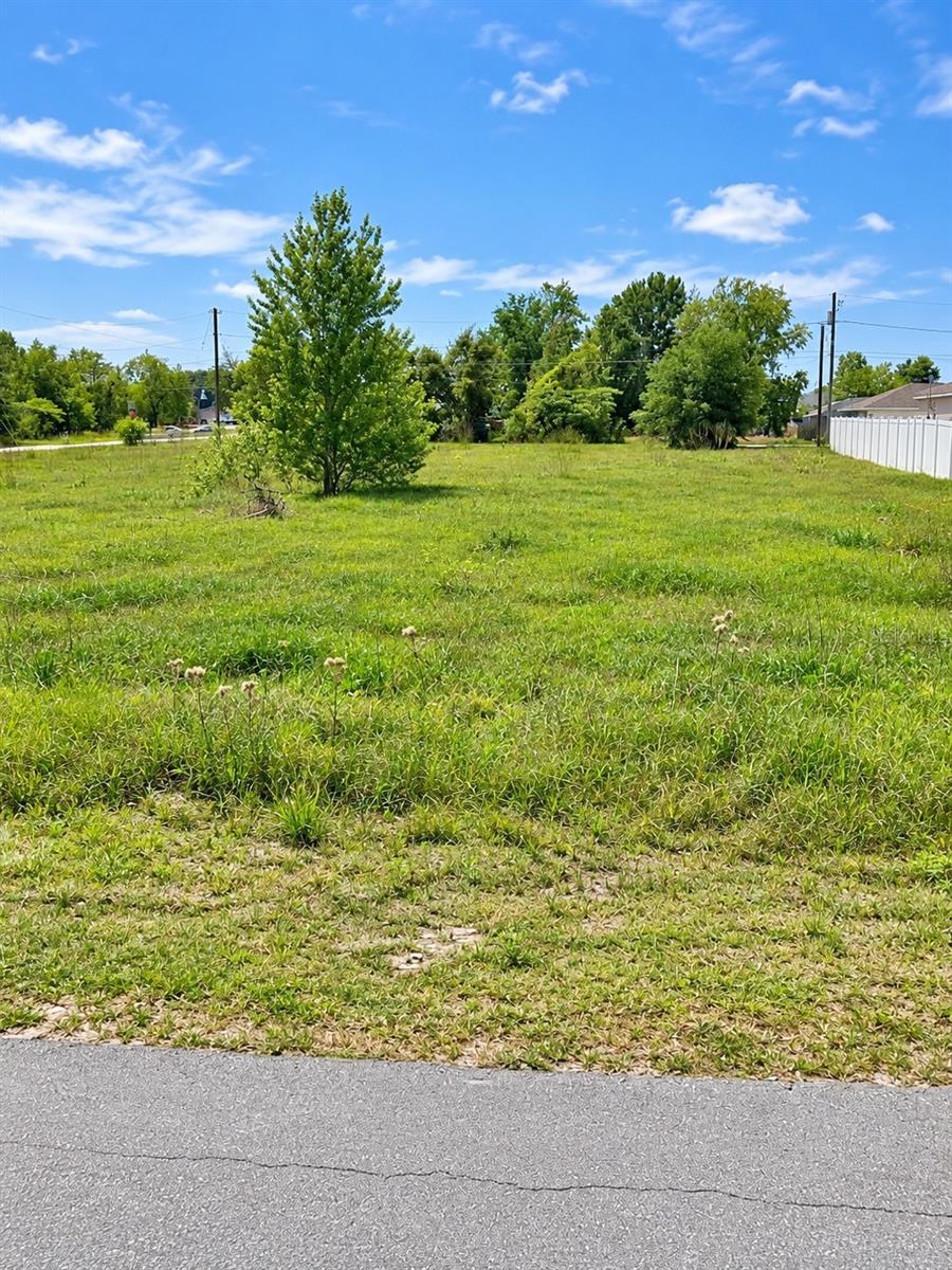 Land at 0 WALNUT RUN, OCALA, photo 2 of 3