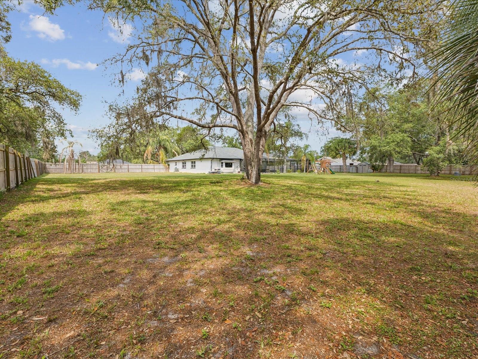 Backyard View - 1222 HUNTINGTON AVE, SPRING HILL
