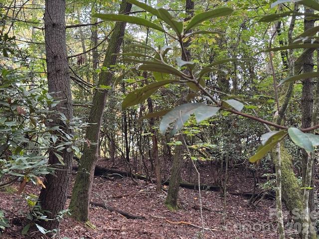 Acreage at 9999 Old Little Mountain Road, Pisgah Forest, photo 14 of 32