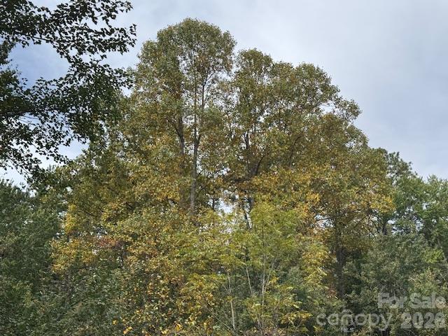 Acreage at 9999 Old Little Mountain Road, Pisgah Forest, photo 15 of 32