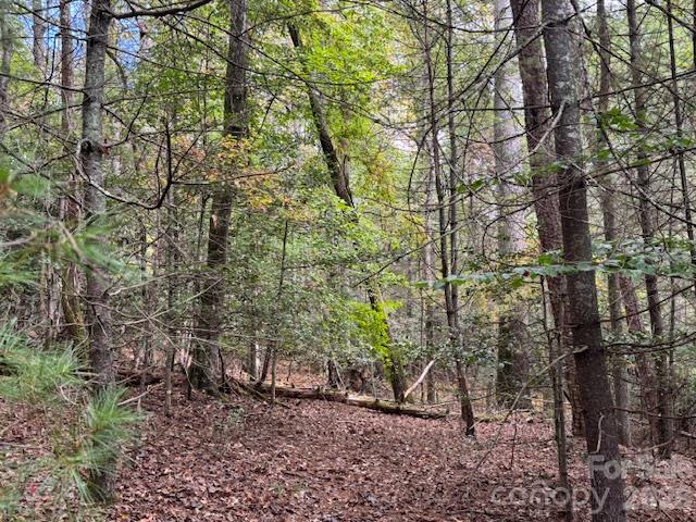Acreage at 9999 Old Little Mountain Road, Pisgah Forest, photo 16 of 32