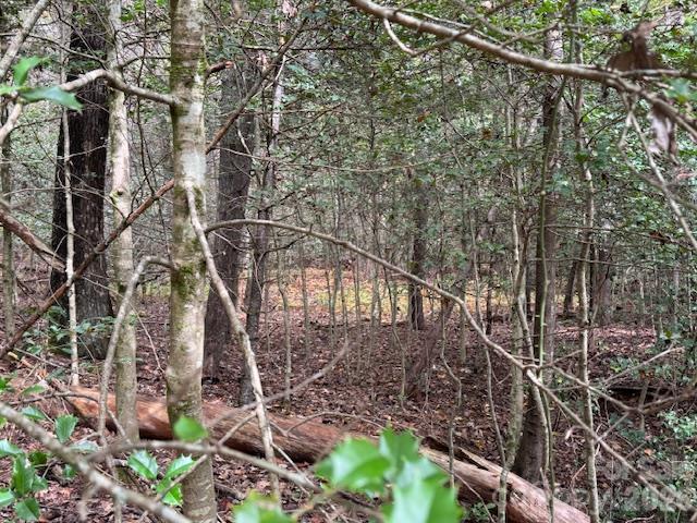 Acreage at 9999 Old Little Mountain Road, Pisgah Forest, photo 17 of 32