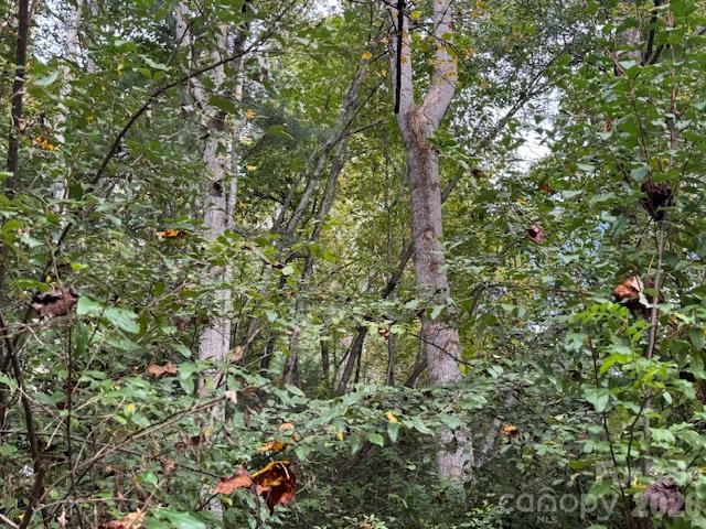 Acreage at 9999 Old Little Mountain Road, Pisgah Forest, photo 18 of 32