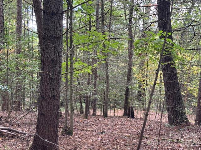 Acreage at 9999 Old Little Mountain Road, Pisgah Forest, photo 20 of 32