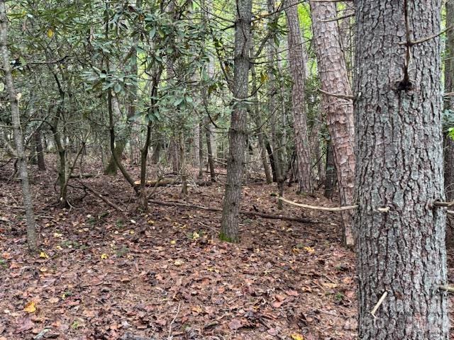 Acreage at 9999 Old Little Mountain Road, Pisgah Forest, photo 21 of 32