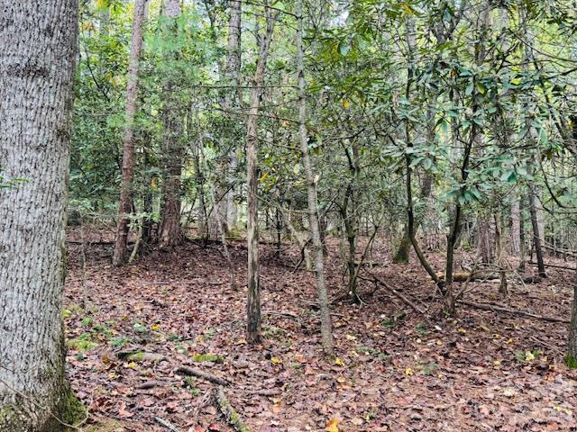 Acreage at 9999 Old Little Mountain Road, Pisgah Forest, photo 22 of 32