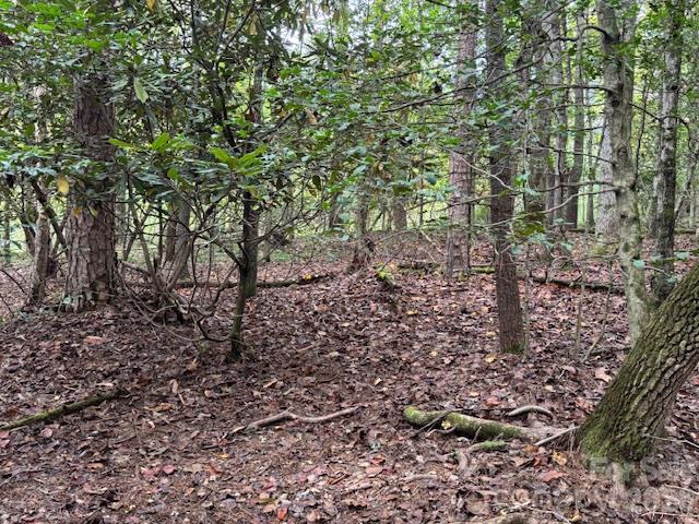 Acreage at 9999 Old Little Mountain Road, Pisgah Forest, photo 23 of 32