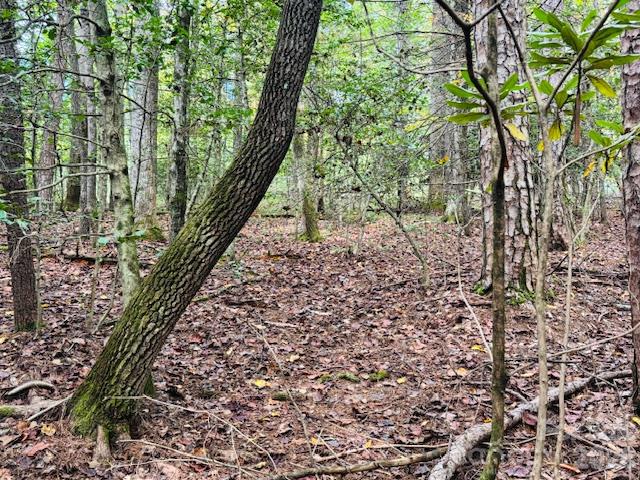 Acreage at 9999 Old Little Mountain Road, Pisgah Forest, photo 24 of 32
