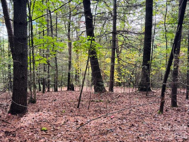 Acreage at 9999 Old Little Mountain Road, Pisgah Forest, photo 25 of 32