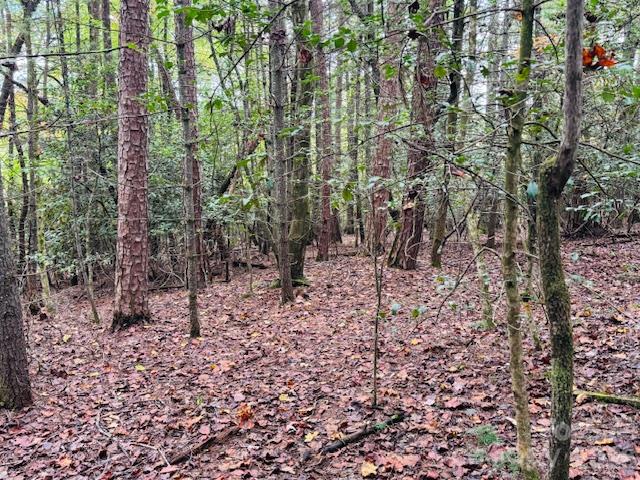 Acreage at 9999 Old Little Mountain Road, Pisgah Forest, photo 26 of 32