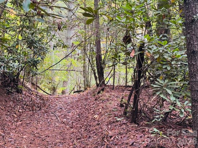 Acreage at 9999 Old Little Mountain Road, Pisgah Forest, photo 27 of 32