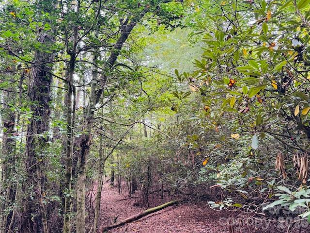 Acreage at 9999 Old Little Mountain Road, Pisgah Forest, photo 28 of 32