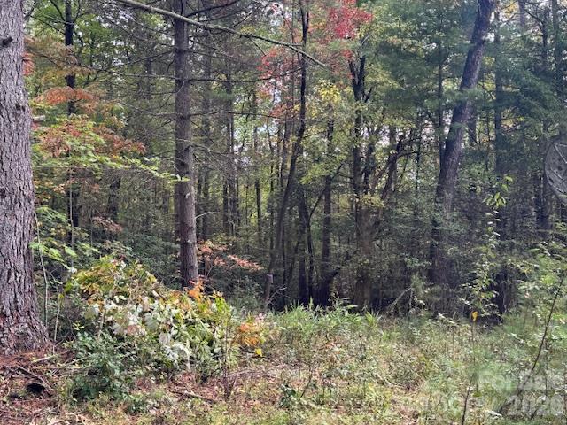 Acreage at 9999 Old Little Mountain Road, Pisgah Forest, photo 29 of 32