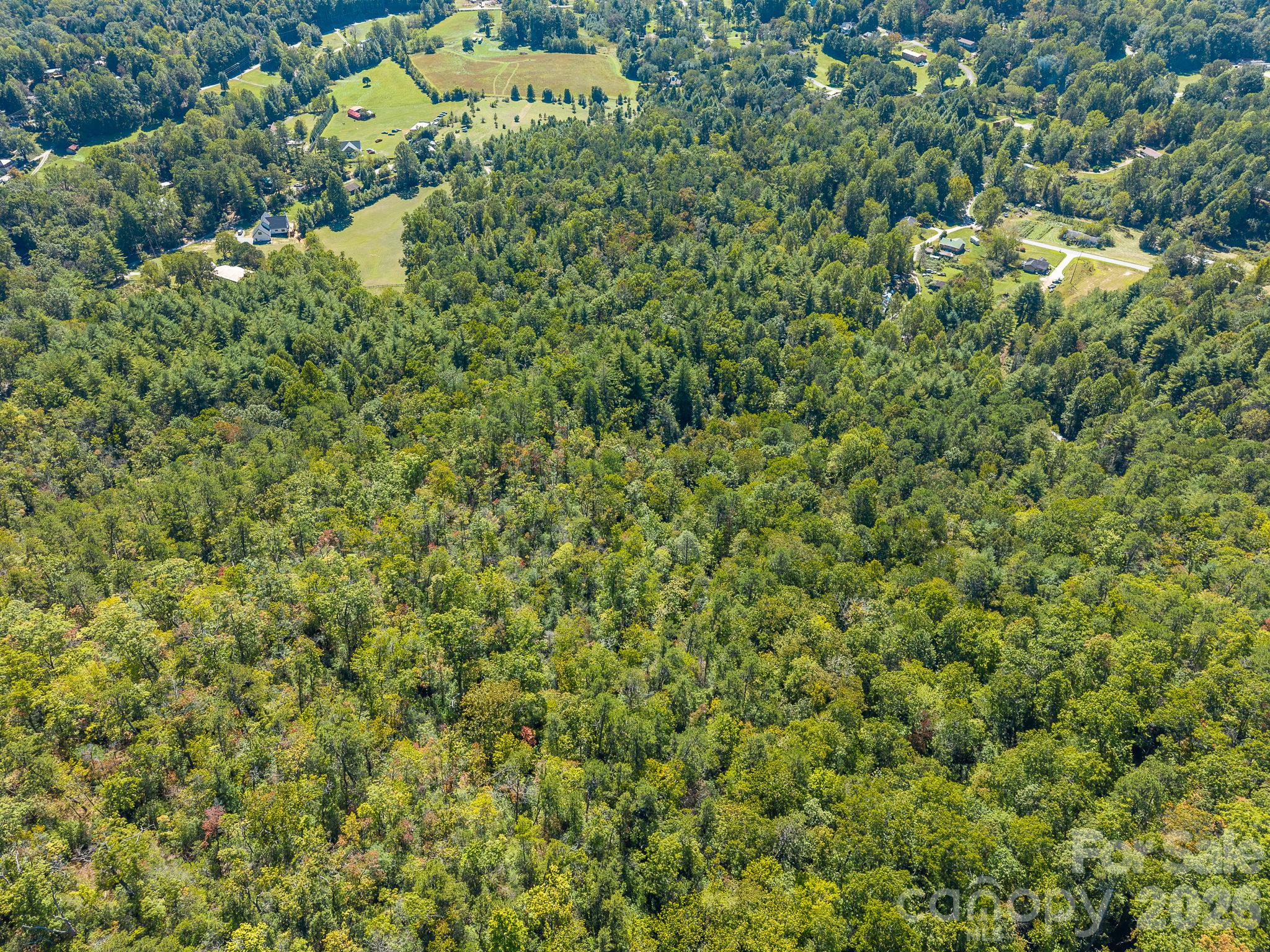 Acreage at 9999 Old Little Mountain Road, Pisgah Forest, photo 19 of 32