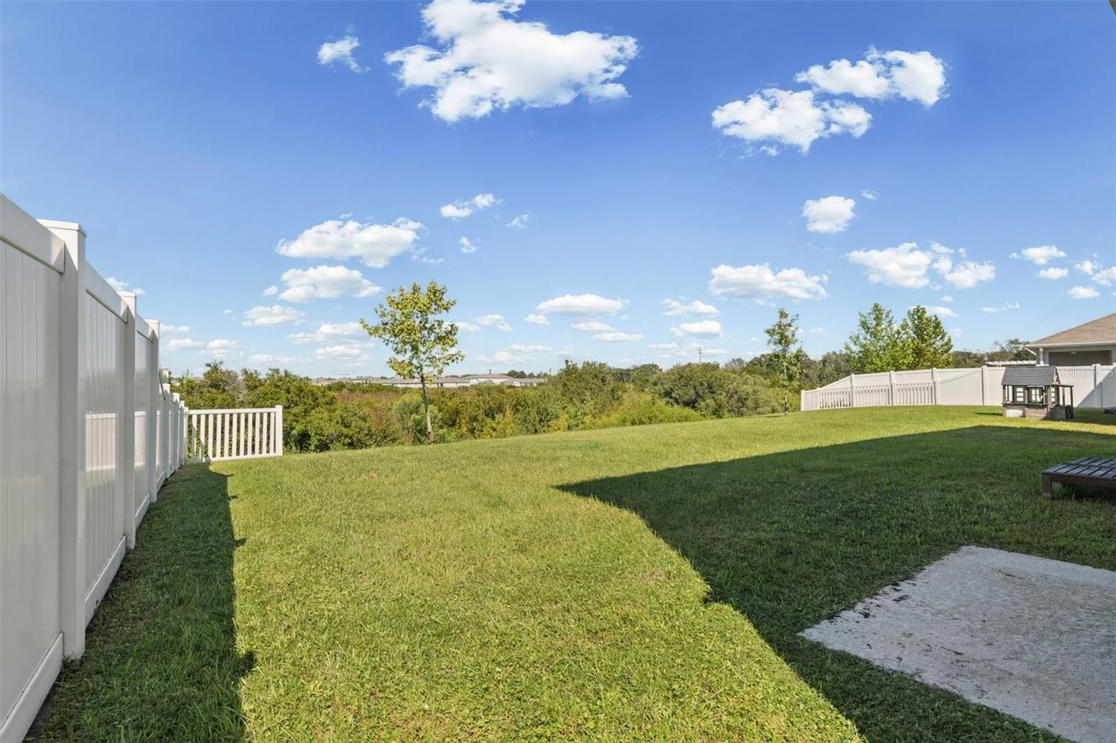 Backyard - 2645 GALWAY GROVE WAY, LAKELAND