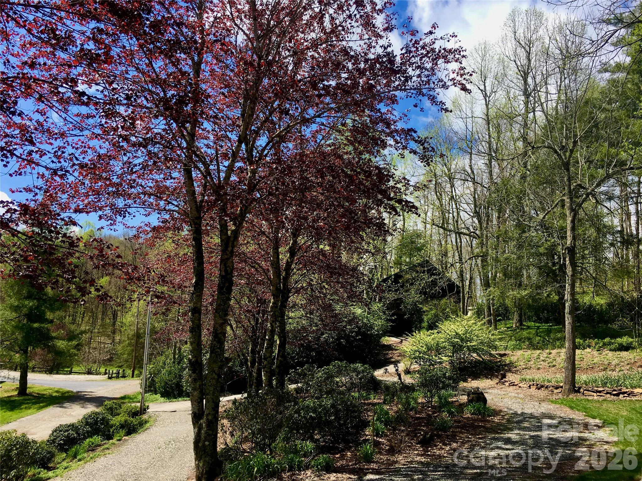 Just wait until you see the fall colors on your property - 262 Azalea Hills Lane, Spruce Pine