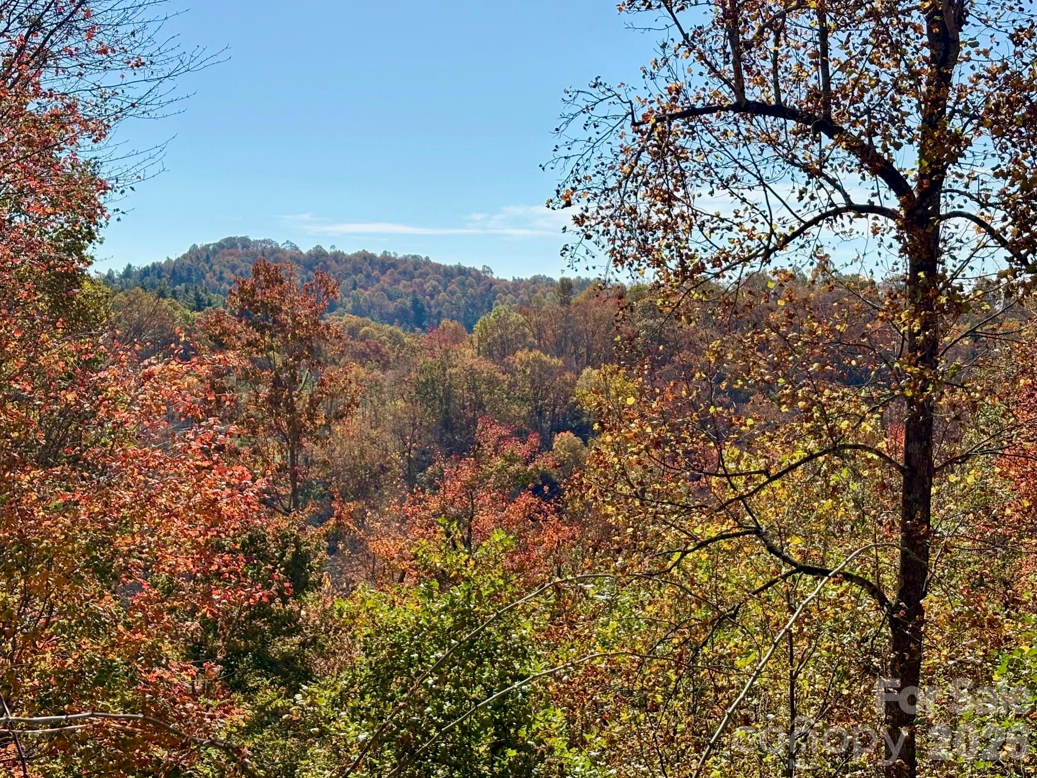 Imagine this view from your property - 262 Azalea Hills Lane, Spruce Pine