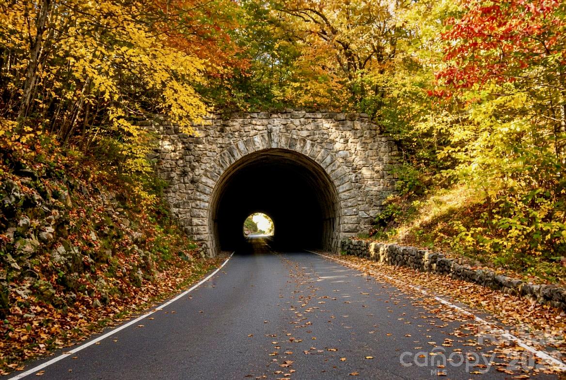 The road to get to the home. - 262 Azalea Hills Lane, Spruce Pine