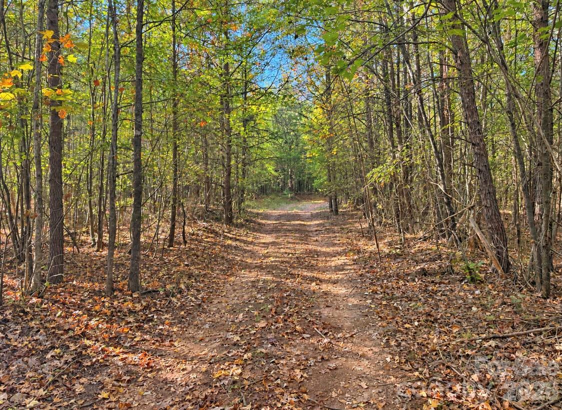 Acreage at 0000 Legion Road, Smyrna