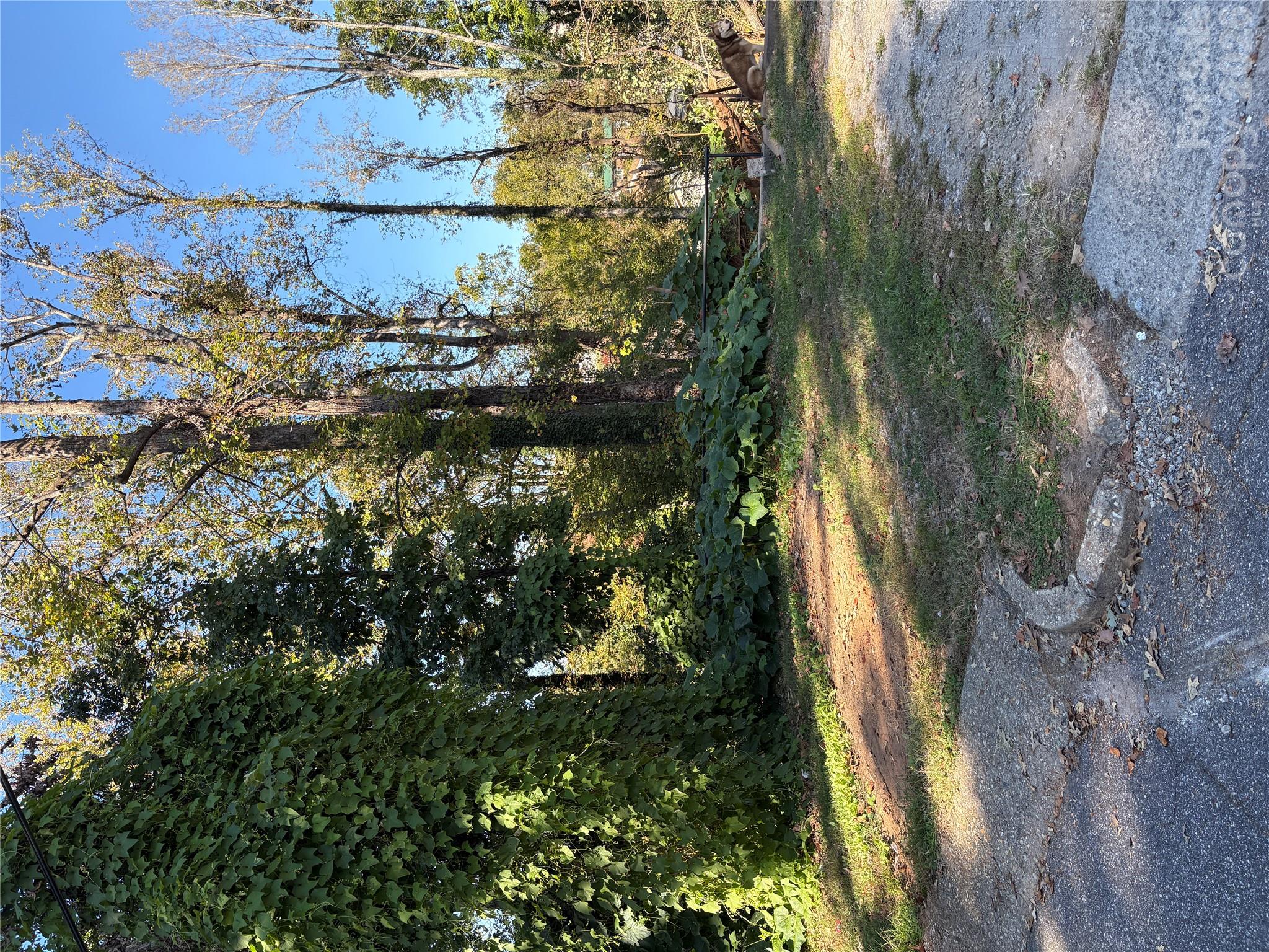 Driveway - 206 Jefferson Street, Morganton