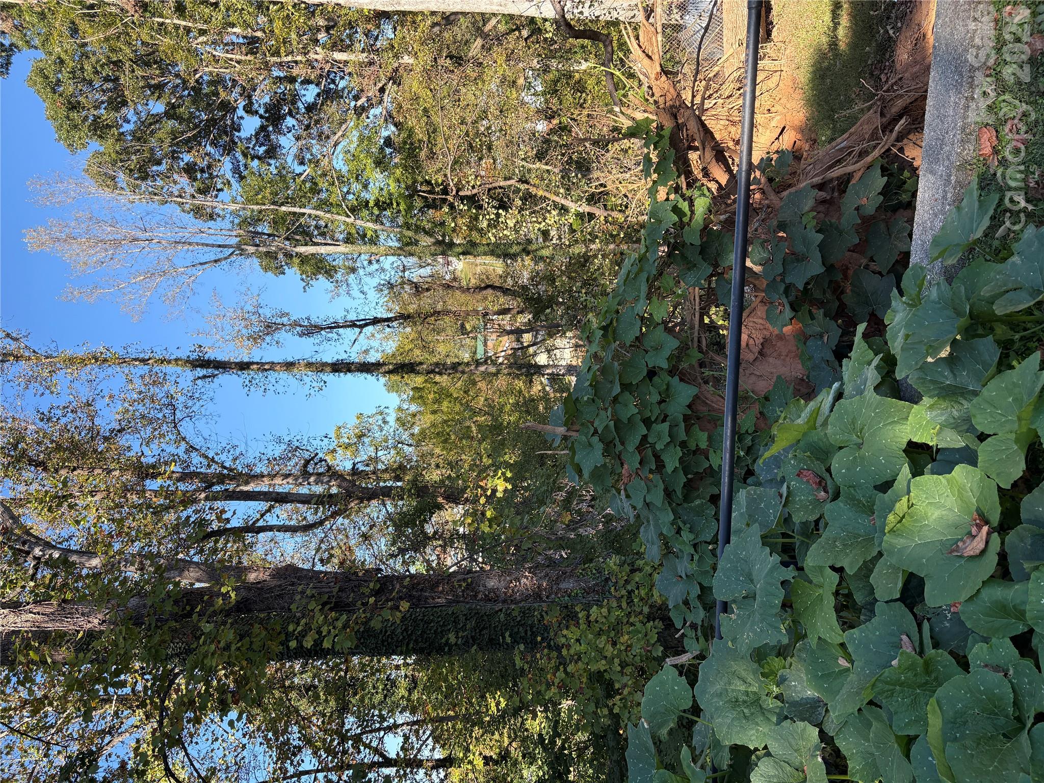 Lot at 206 Jefferson Street, Morganton, photo 5 of 9