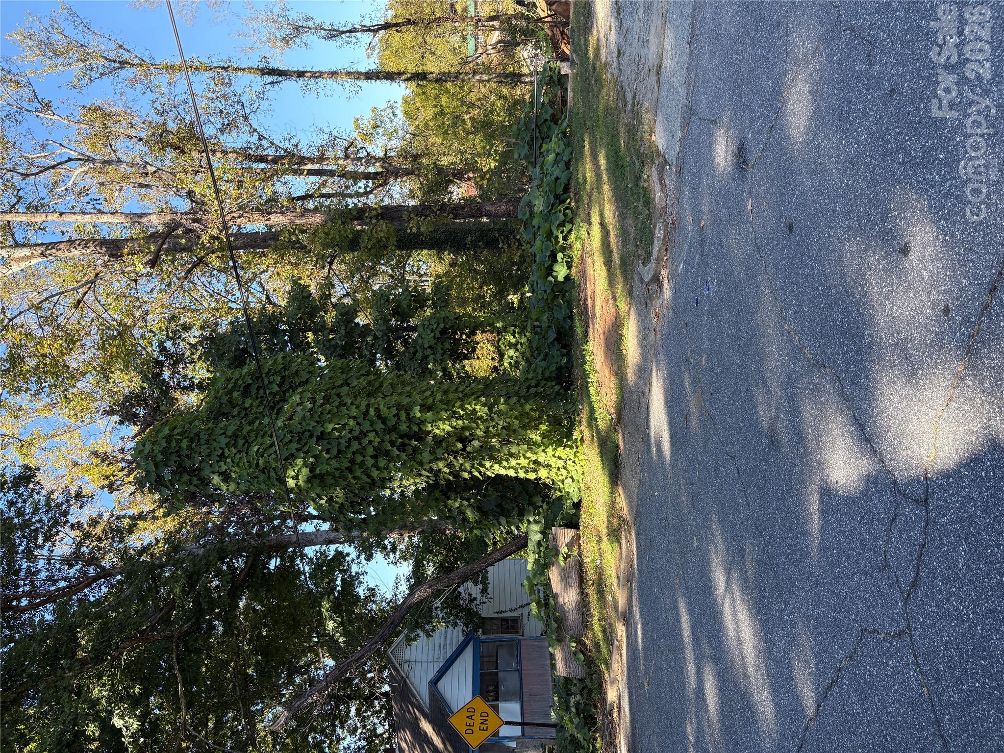 Lot on dead end street near trails - 206 Jefferson Street, Morganton