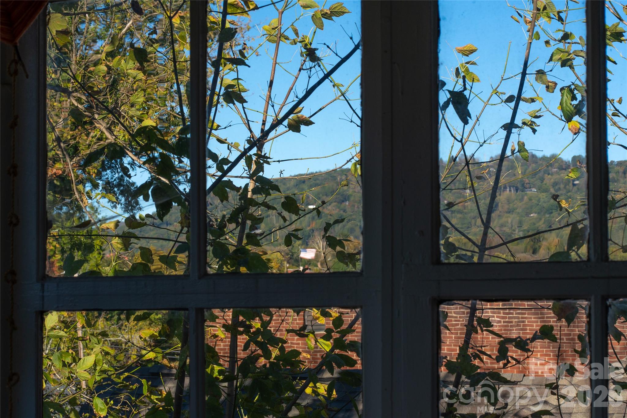Views of town mountain from sun porch window. - 77 Cherry Street, Asheville