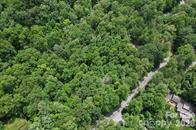 Lot at 0 Buffalo Creek Road, Lake Lure, photo 4 of 17