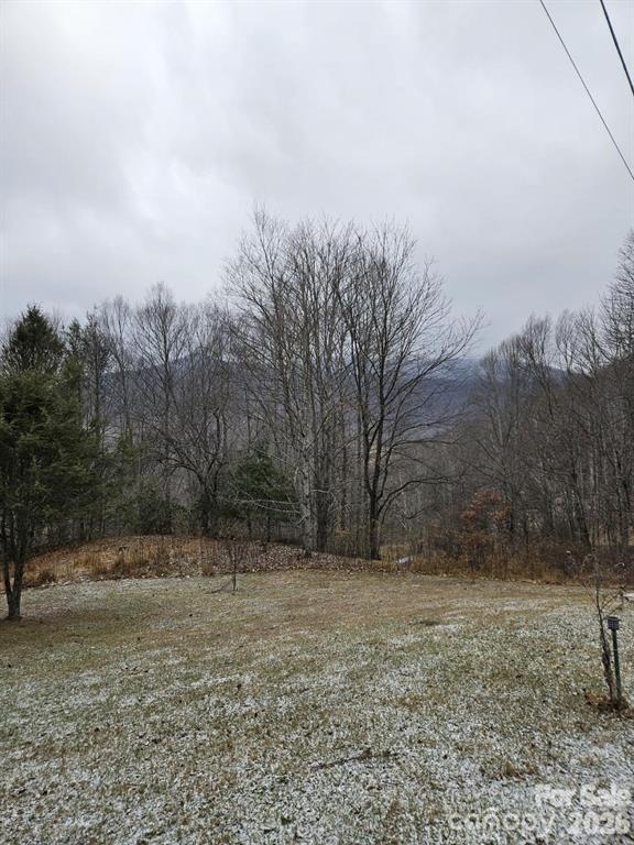 Winter views - 000 Dora Lane, Bakersville