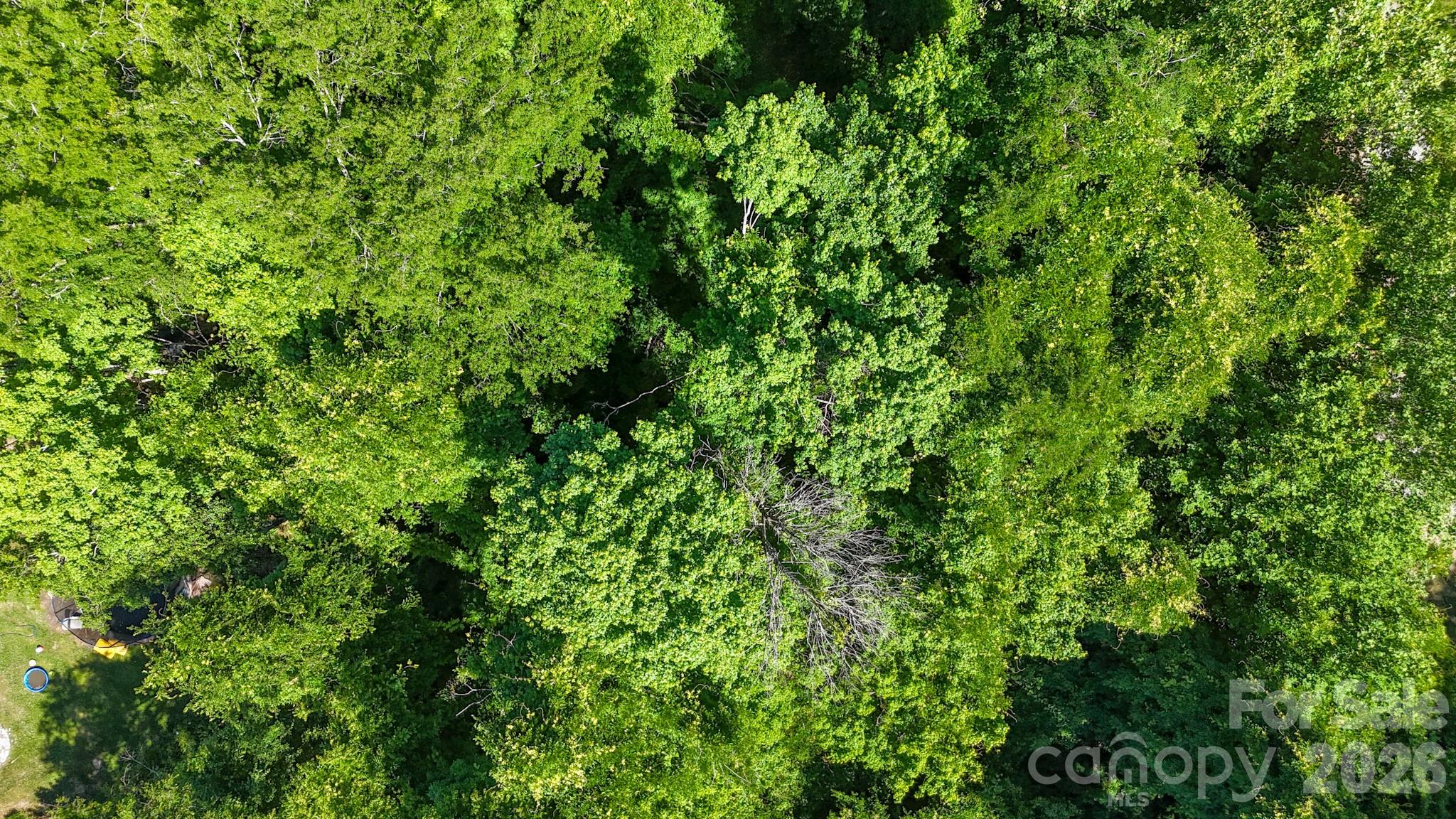 Lot at 14 Arbor Drive, Lexington, photo 13 of 16