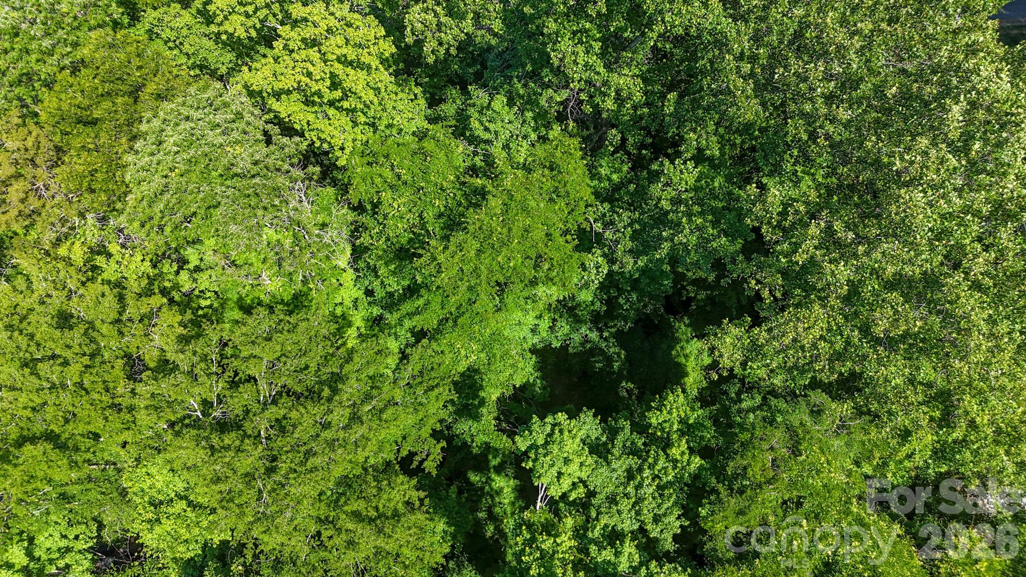 Lot at 14 Arbor Drive, Lexington, photo 14 of 16