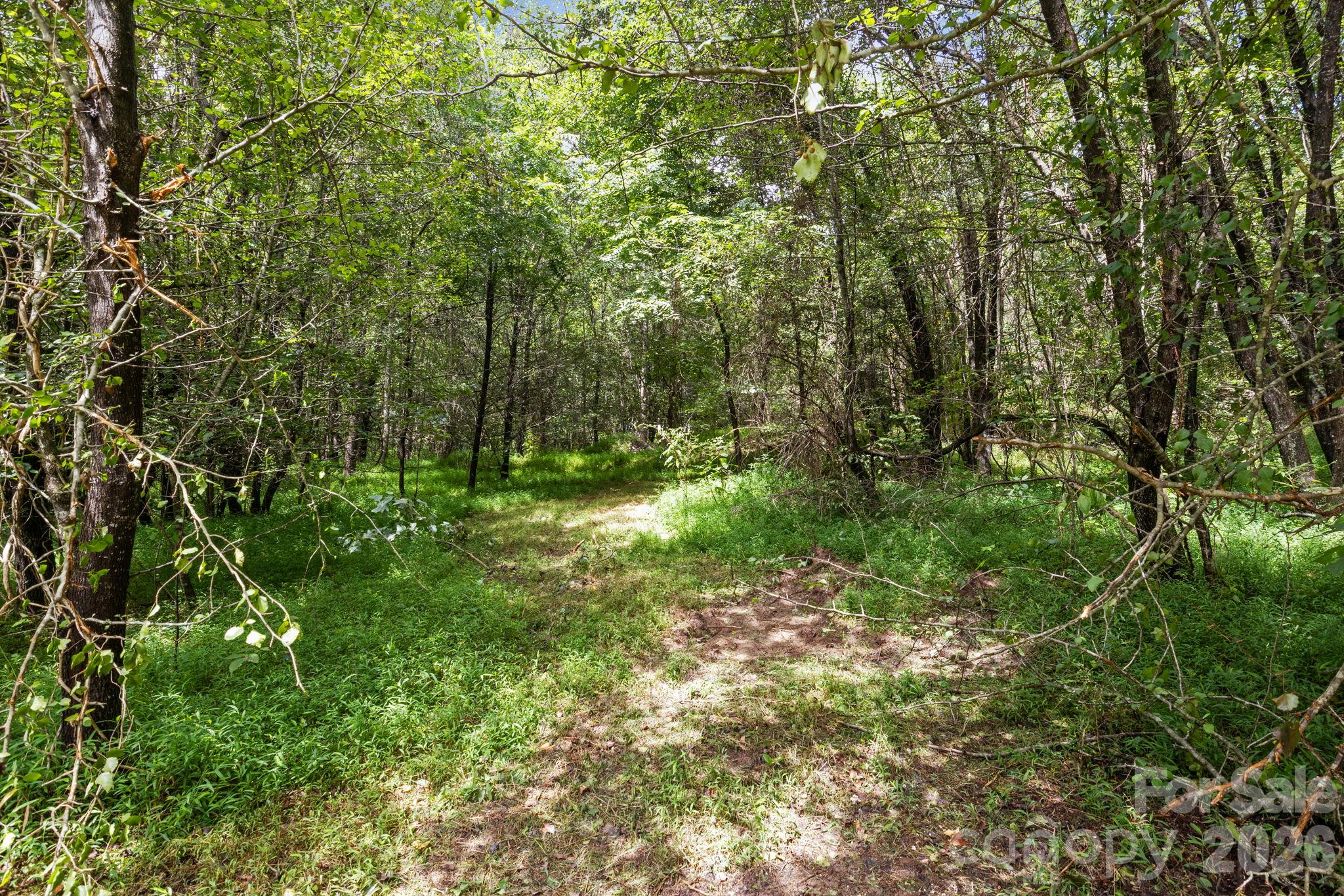 Lot at 0 10th Avenue Drive SW, Hickory, photo 3 of 10