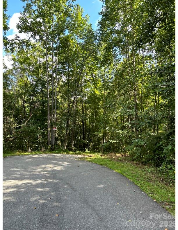 Lot at 0 10th Avenue Drive SW, Hickory, photo 9 of 10