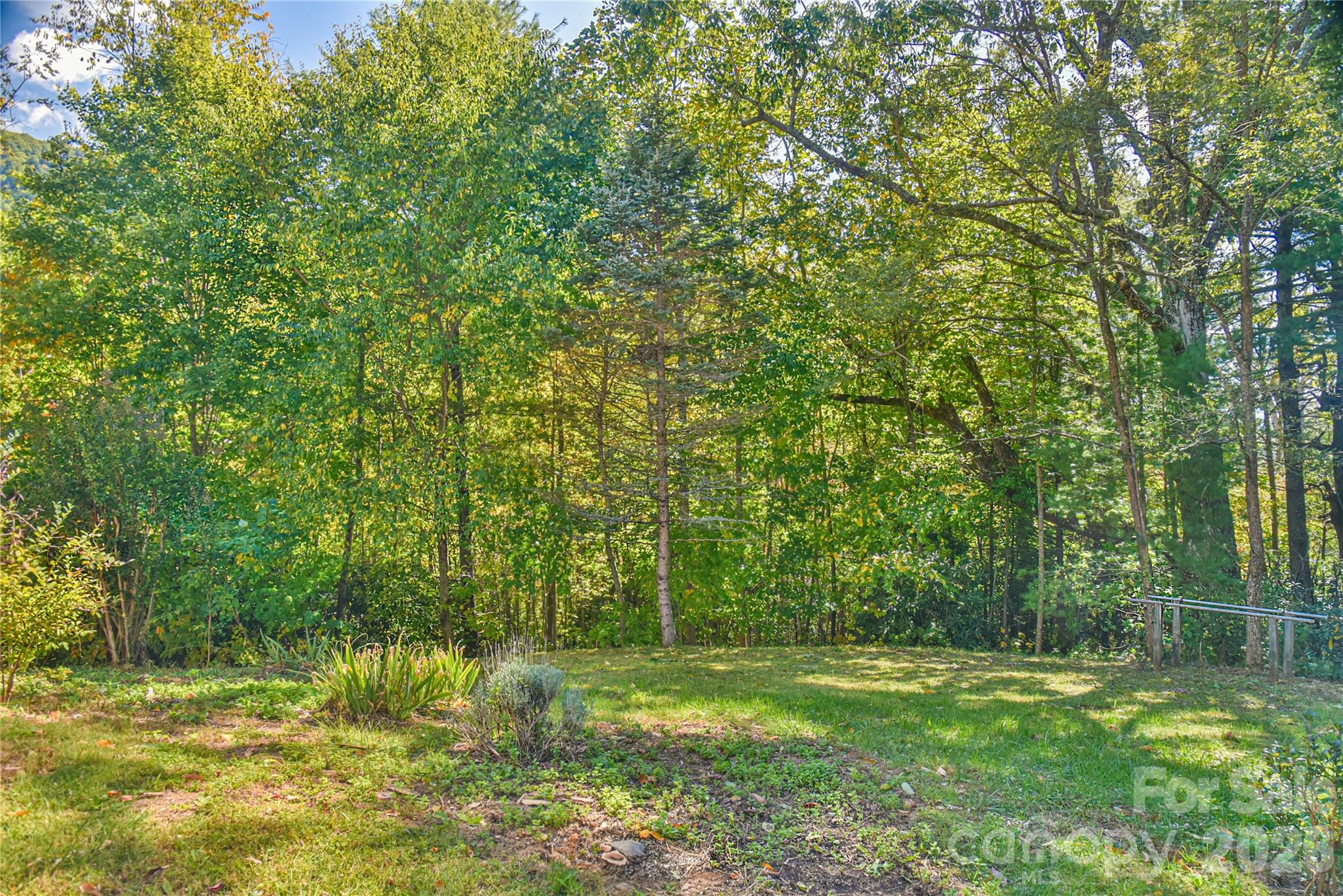 Open meadow area - 227 David Ridge Road, Black Mountain