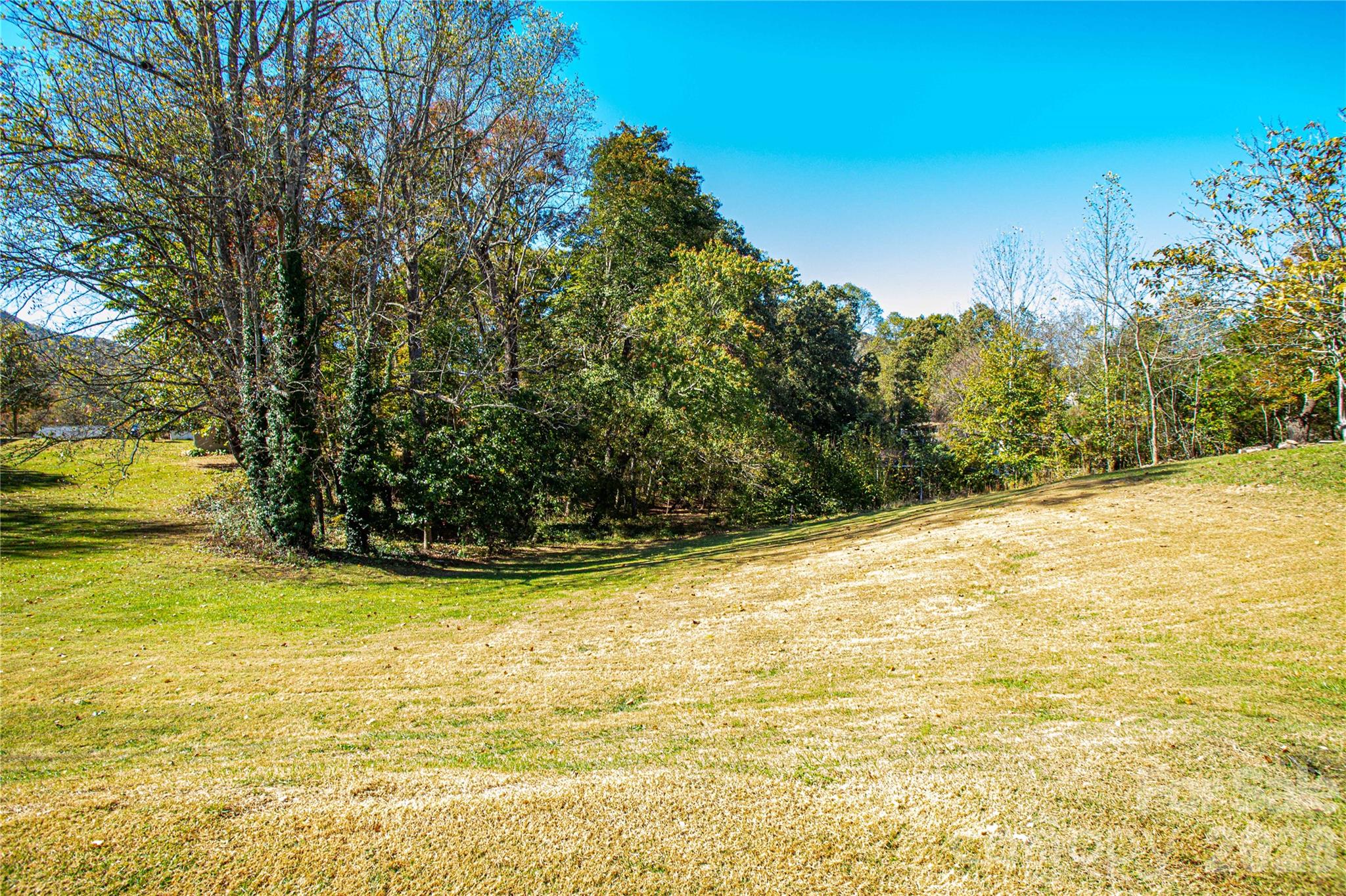 Single Family Residence at 366 Dix Creek No 1 Road, Leicester, photo 5 of 30